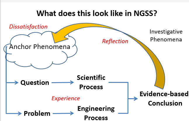 meaning of phenomenon in science